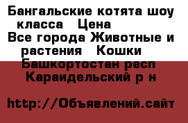 Бангальские котята шоу класса › Цена ­ 25 000 - Все города Животные и растения » Кошки   . Башкортостан респ.,Караидельский р-н